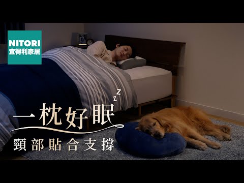 宜得利家居 × 蝶型記憶枕 #新生活應援