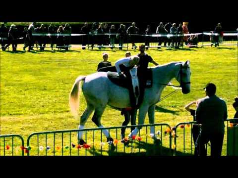 love simon fete du cheval du 20 partie 6