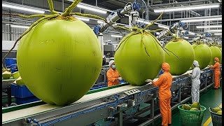 Inside a High-Tech Coconut Factory: From Fresh Harvest to Premium Coconut Water