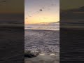 Fraser Island (K’gari) sunrise! spot the dingo and whale!!!
