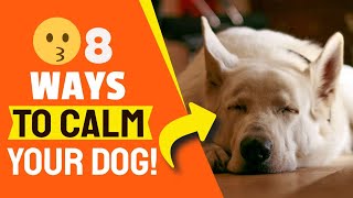 🐶8 Natural REMEDIES to CALM the STRESS in your DOG