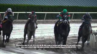 Gulfstream Park Replay Show | April 3, 2016