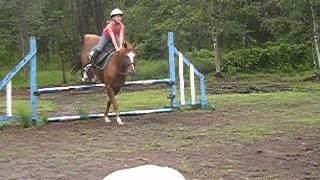 Jumping 2'9 with my horse