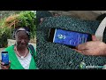 15/15 Talk Stopping Ocean Plastic: How Plastic Banks Blockhain Turns Waste Into Currency