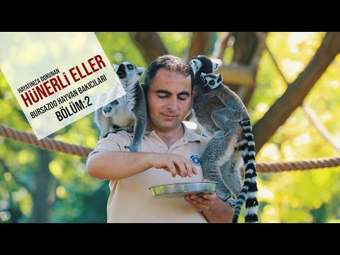 Hünerli Eller Bölüm 2 I Sezer Yıldız-Ramazan Güleç - Bursazoo Hayvan Bakıcıları