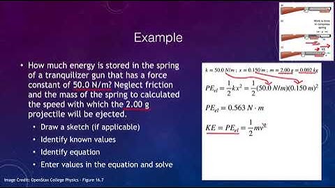 Lesson 5 - Lecture 1 - Oscillations - OpenStax