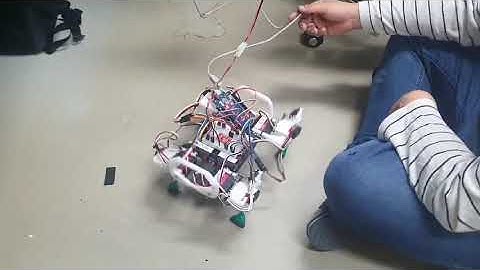 quadruped robot move