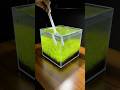 Nano cube aquarium water change #SummerOnShorts