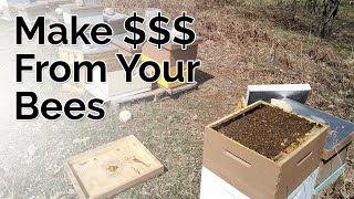 How To Make Money From Your Bees Whether You Have One Hive Or Hundreds