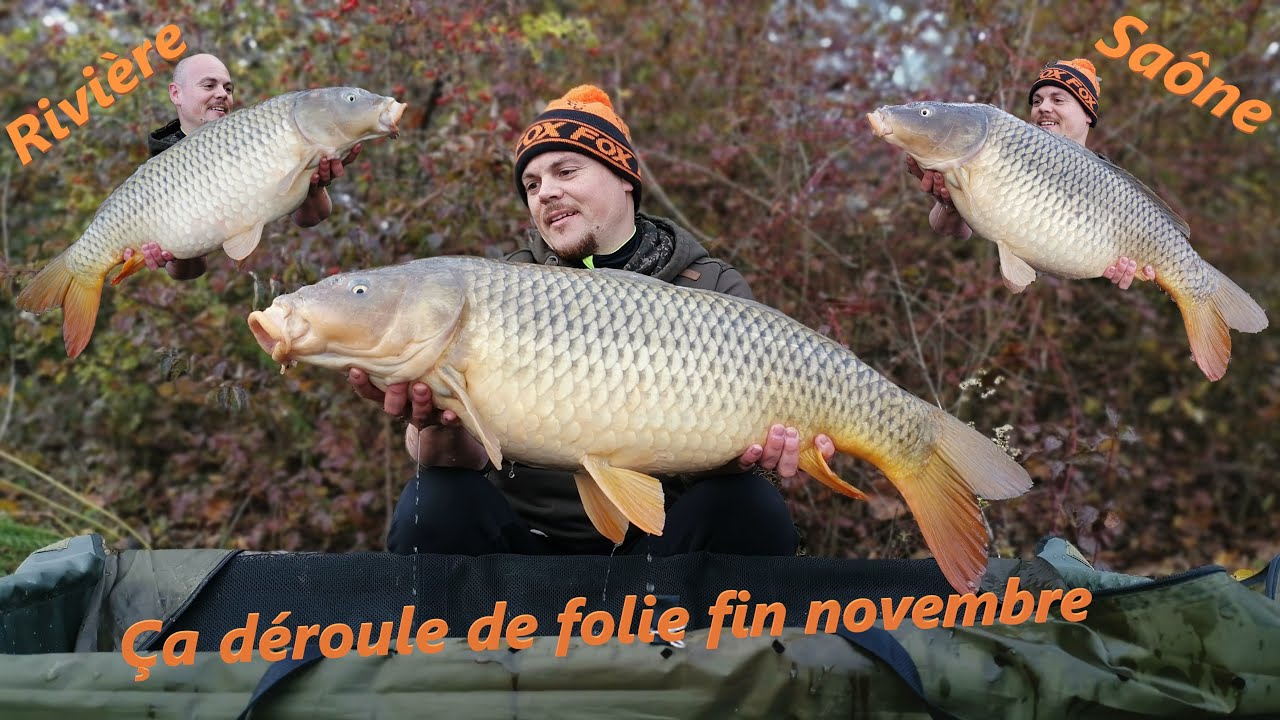 PÊCHE DE FOLIE EN RIVIERE*LA CARPE EN SAÔNE* YouTube