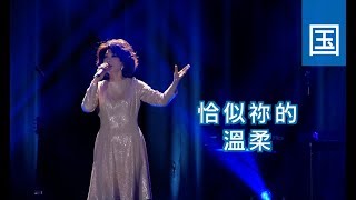 电视节目 TV1482 恰似祢的温柔 (HD国语) (演艺人系列)