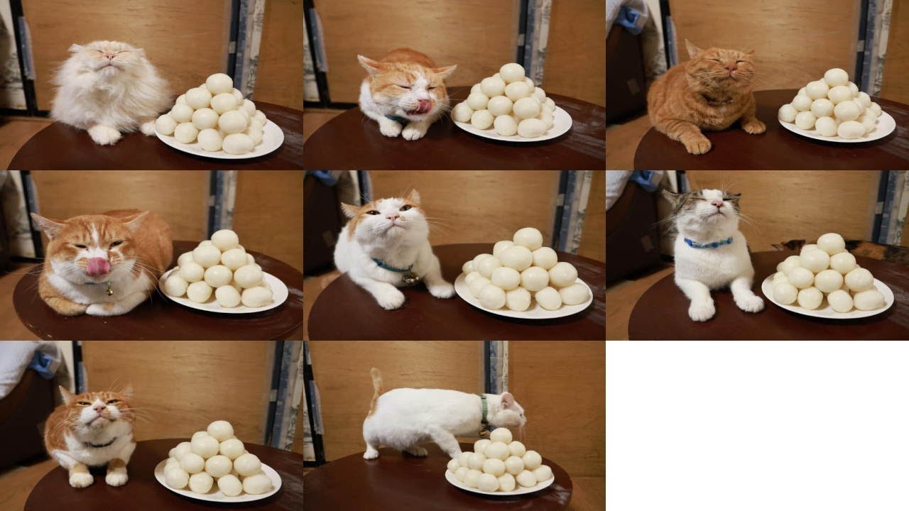 お月見猫さん11/25③ お月見猫さん11/25③【公式通販】
