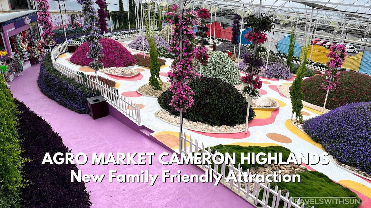 Agro Market Cameron Highlands New Family Friendly Attraction YouTube