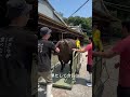 優香くんがお肉になるまで【残り3ヶ月】