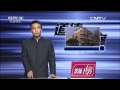 被烫伤的小浩浩 道德观察 20151029 被烫伤的小浩浩 道德观察 20151029