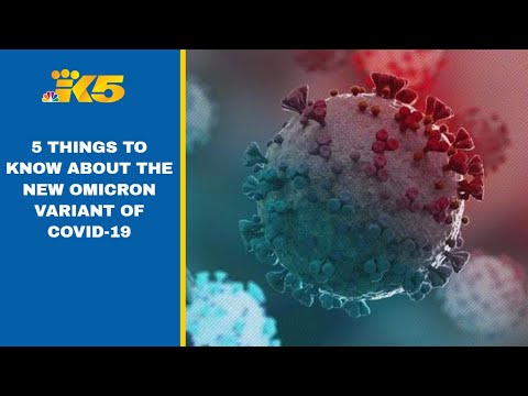 5 things to know about the new omicron variant of COVID-19