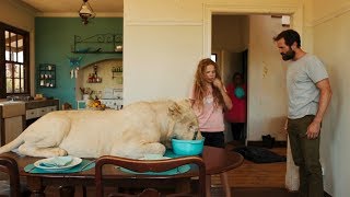 女孩养了一只大白狮当宠物别人都不敢靠近一部温情动物电影