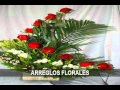 Jardín La Orquídea