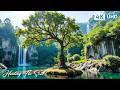 Beautiful Calming Music Restore Your Nervous System Find Inner Peace 7