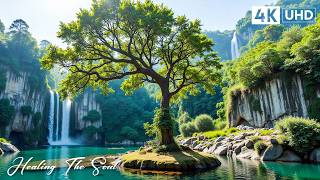 Beautiful Calming Music 🌿 Restore Your Nervous System & Find Inner Peace #7