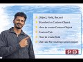 Salesforce Objects, Fields, Records, Tabs - S1 E3