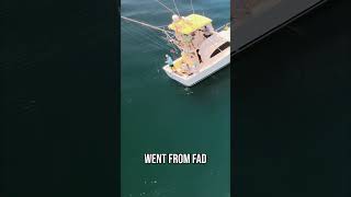 Epic Mahi Mahi Fight. Light Tackle Thrills!