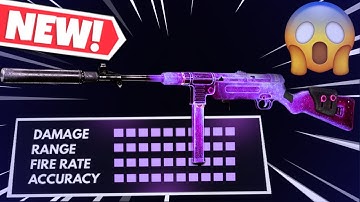 MAX DAMAGE MP40 GOES CRAZY (Best MP40 Class Setup)
