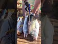 Amazing Fish Cutting Skills! 🐟✂️ #FishingLife