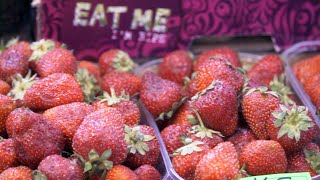 видео: Ягодная ферма | БИЗНЕС-ПЛАН картинка: Ягодная ферма | БИЗНЕС-ПЛАН