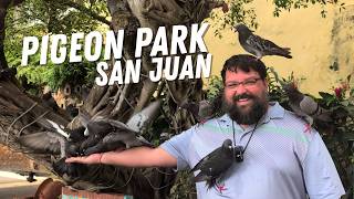 San Juan, Puerto Rico,Pigeon Park, Sail Away, La Cucina & Amore Cubano Show | Carnival Celebration