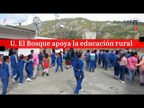 Un Bosque en Tota, una iniciativa para trabajar por la educación rural de Colombia | El Espectador - Un Bosque en Tota, una iniciativa para trabajar por la educación rural de Colombia | El Espectador