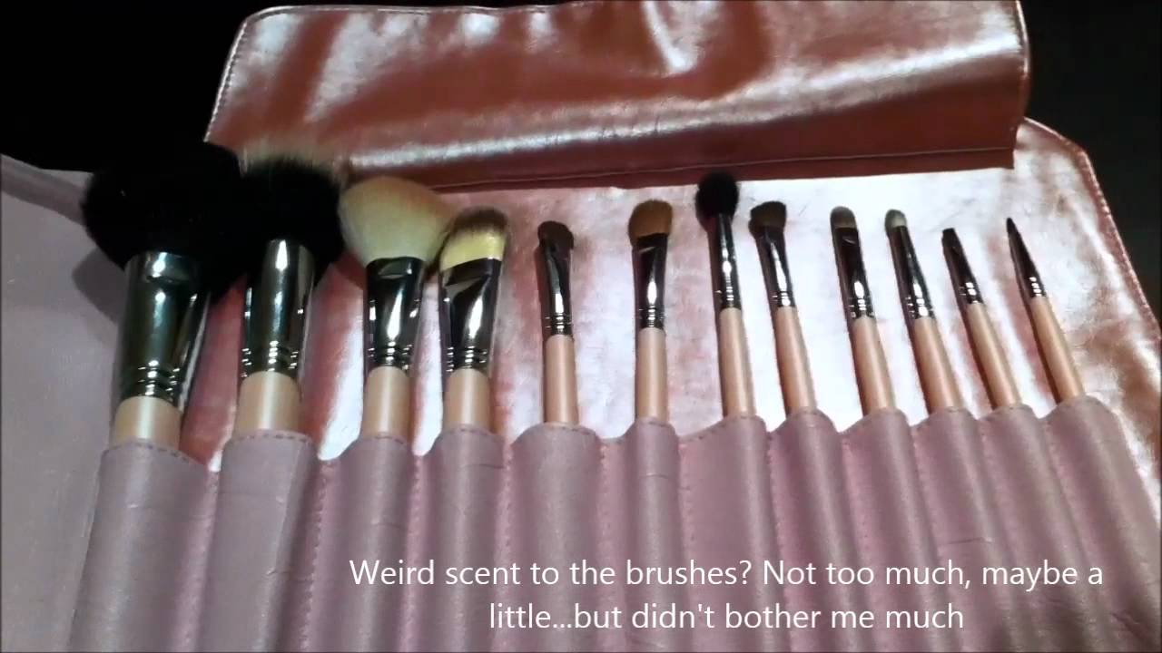 Sedona Lace Pink Brush Set Review