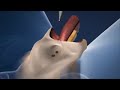 Sex change operation 3d animated