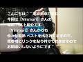 【Vinmori】女性にも最強、身丈調節　7wで50℃超!?超省電力で動くUSB　電熱 ベスト　男女兼用