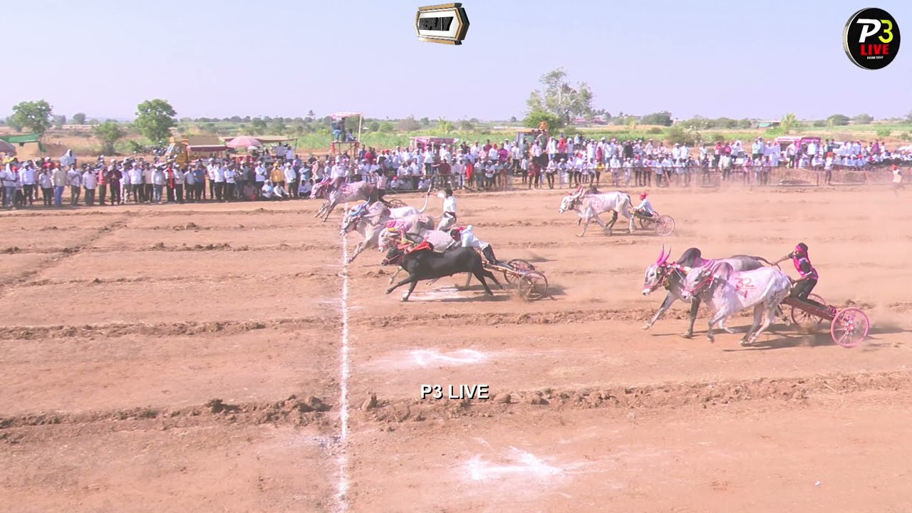 बनपुरी सेमी क्रमांक-5