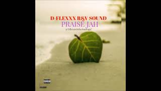 D-flexxx R&V Sound  -  Praise Jah (Mixtape)