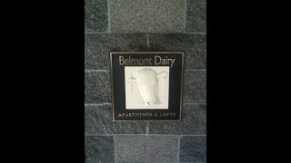 Celebrity Belmont Dairy Virtual Tour Video - Studio #380 Net Worth