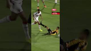 QUASE LEVARAM A CAMISA DO ROBSON PRA CASA NO NOVORIZONTINO X BOTAFOGO (SP)