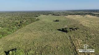 Campo 1.730 ha en Chaco sobre Río Bermejo | Potencial agrícola, ganadero y forestal
