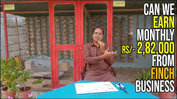 Monthly Income, Profit, Earning from 300 pairs of Finch|Business plan|Passive income|Part time work
