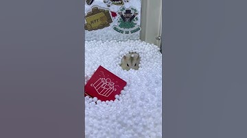 Challenge: Can I Grab the MYSTERY Prize in the Claw Machine? Day 30 #clawmachine #arcade #prize