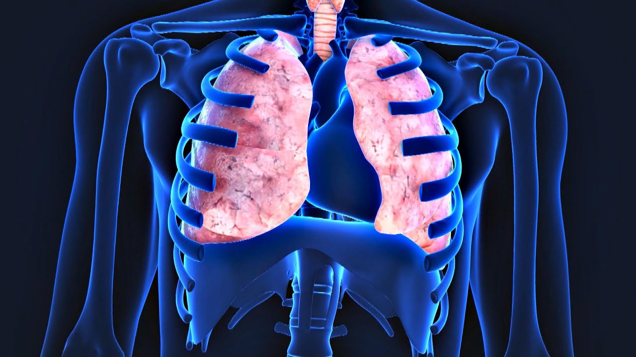 Mucus filling up lungs