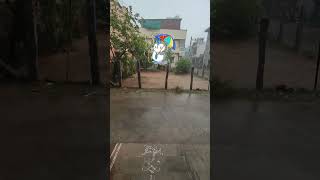#suddenrain#2026#yt#chittoor#youtube#viral#raining#coolclimate#🌧️🌧️⛈️⛈️#AngelTalksvinu#heavywind