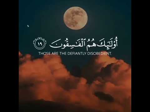 حالات واتس قران كريم ولا تكونوا كالذين نسوا الله فانساهم انفسهم بصوت ماهر المعيقلي