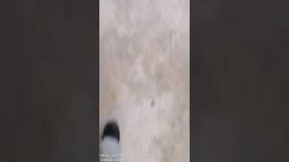 Buat aduan kerosakan