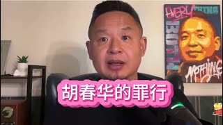 “汪走胡来” 胡春华其人 #胡春华 #汪洋 #王吉舟大官人