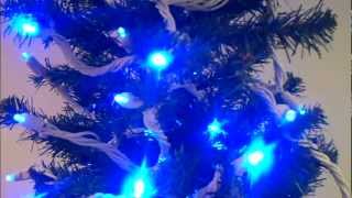 Looking for Christmas tree for home? blue artificial Christmas tree can be beautiful choice