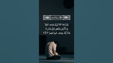 أجمل تلاوة خاشعة من سورة الشورى | القارئ حامد كرم الله
