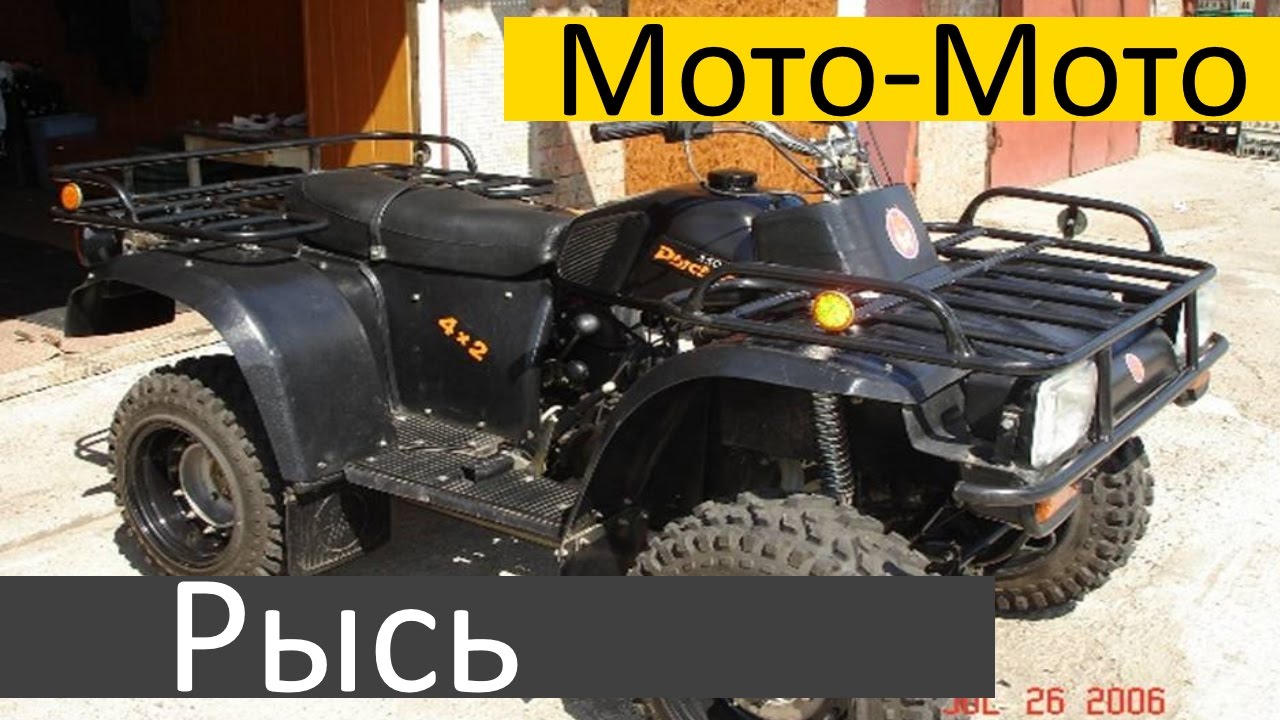 Иж рысь 350