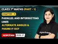 Alternate Angles & Figure it Out - Parallel and Intersecting Lines | Class 7 Maths Part 1 | Ch 5